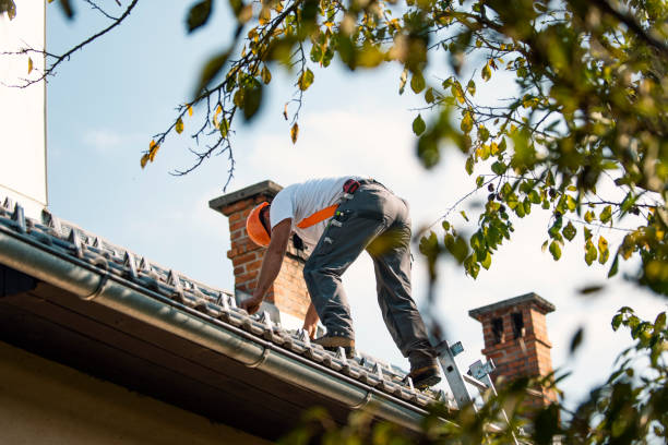Best Roof Maintenance Services  in Morganfield, KY
